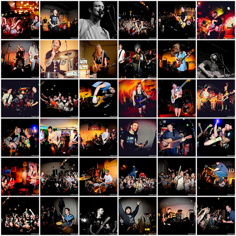 Fest 11 Mosaic